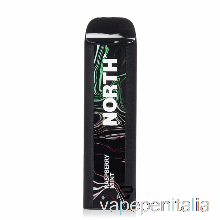 Scatola Vape Mod North 5000 Menta Lampone Usa E Getta